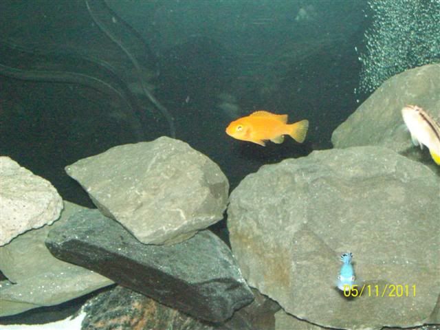 102_3683Small.jpg