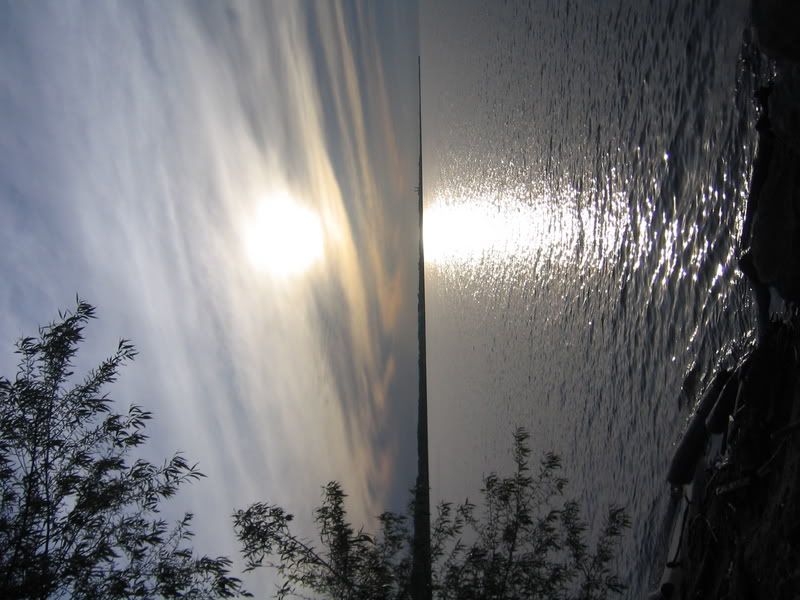 Picture1456.jpg