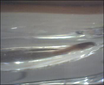 Cam00003-17.jpg