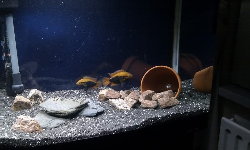 IMAG0974.jpg
