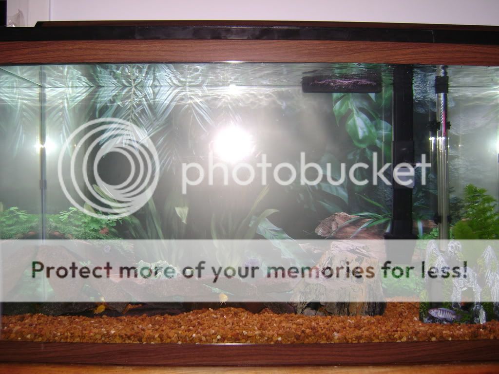 Picture021.jpg