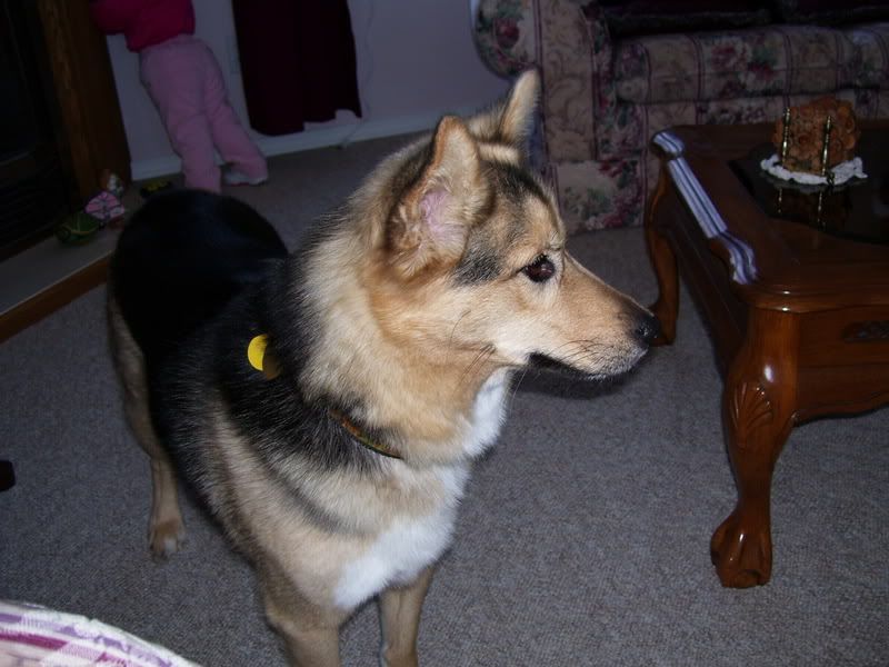 000_0068.jpg