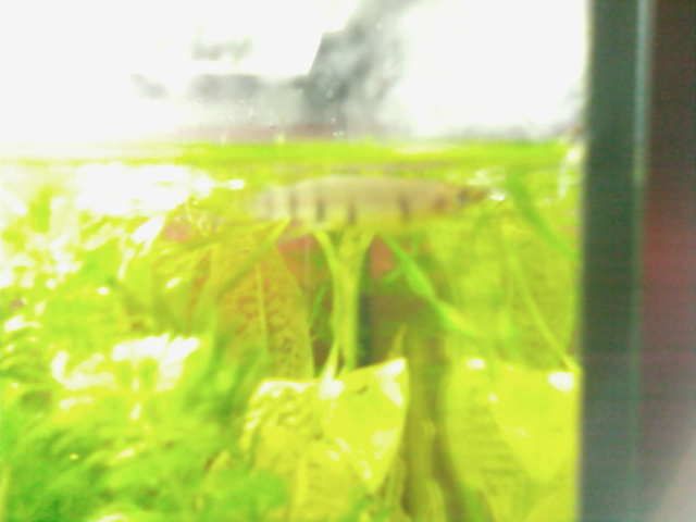 SP_A0307.jpg