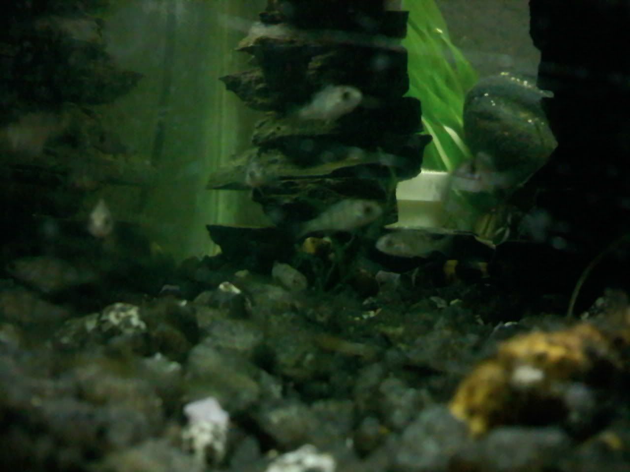0330092028_0009.jpg