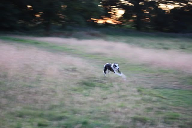 IMG_0487.jpg