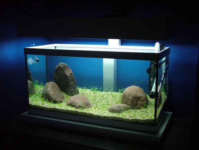 DSCF11321.jpg