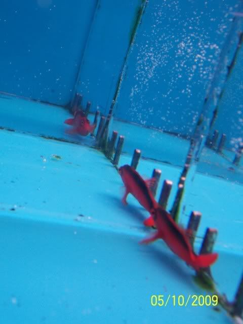 100_6136.jpg