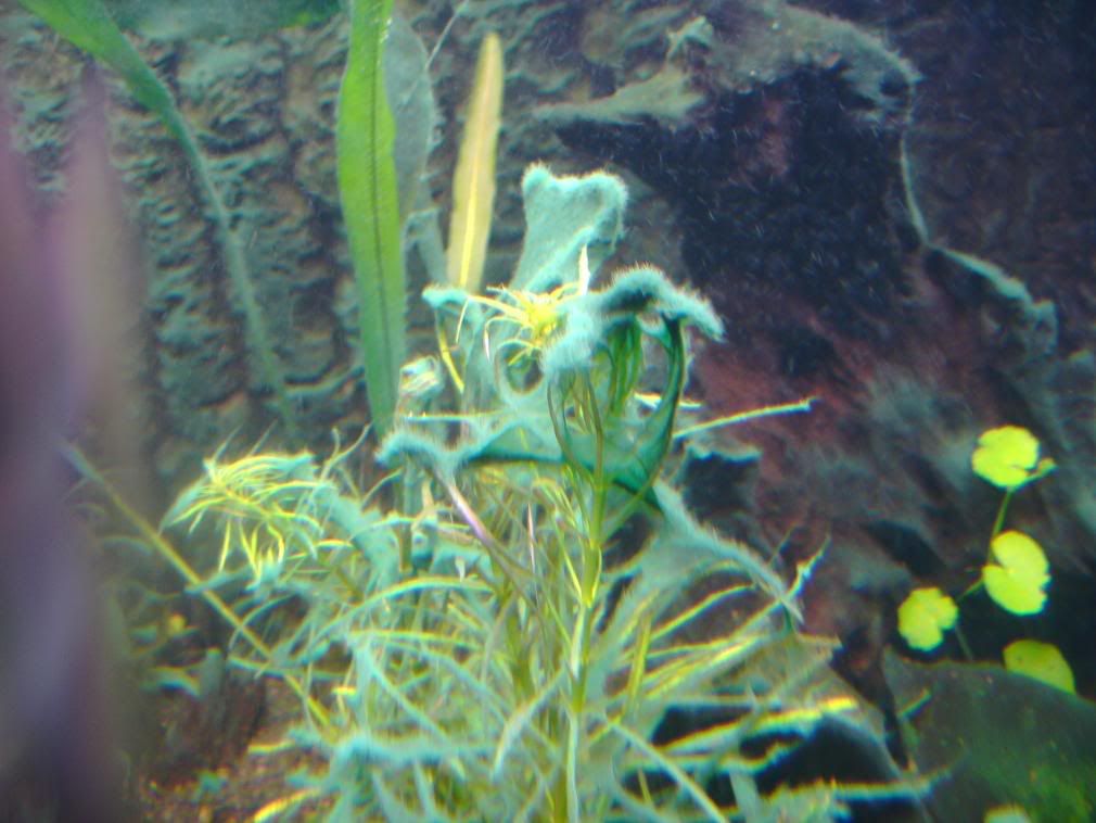 IMAG0022-3.jpg
