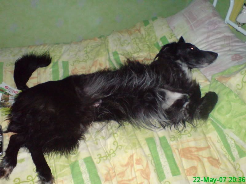 DSC00212.jpg
