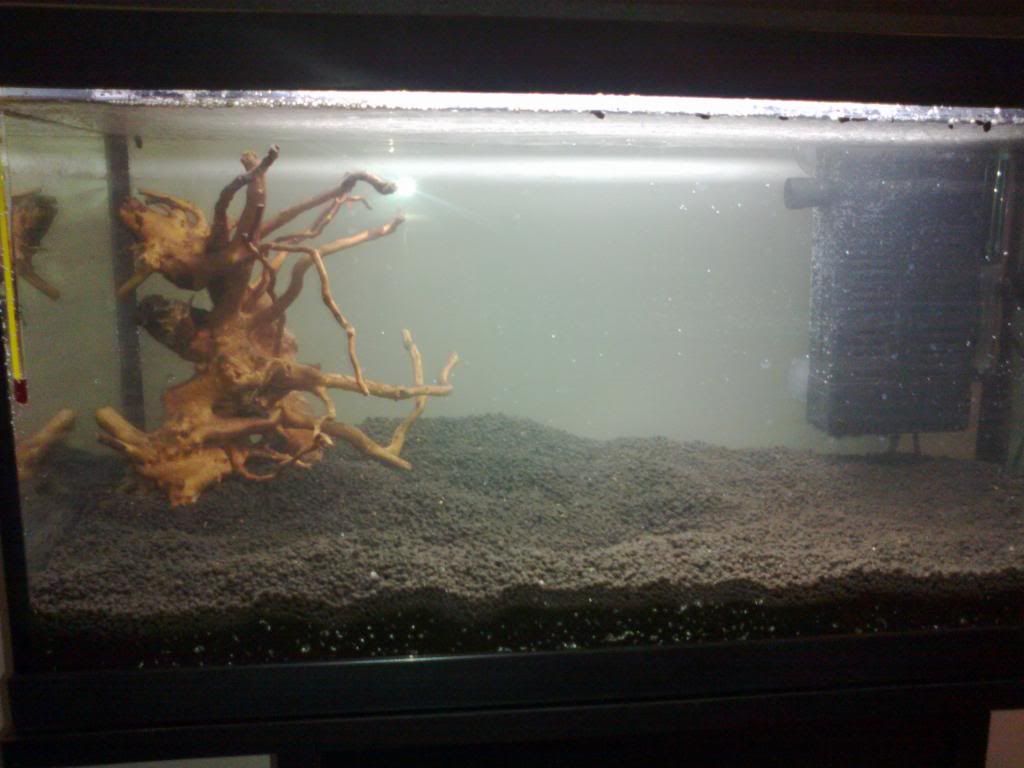 Fishtank.jpg
