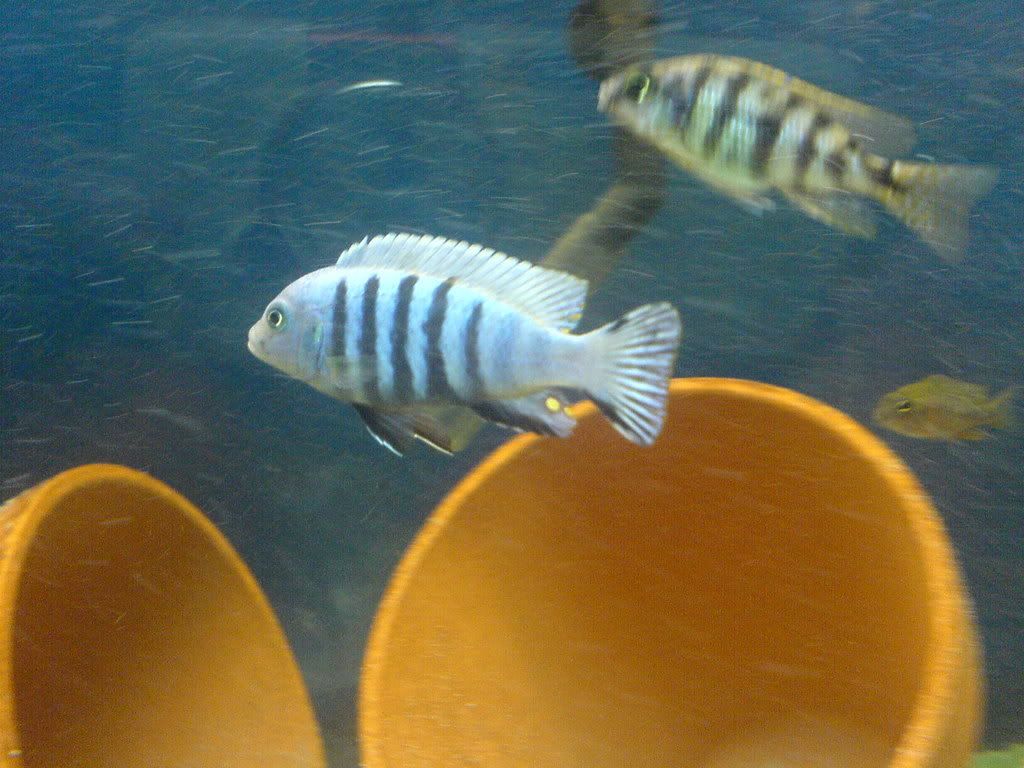 DSC02236.jpg