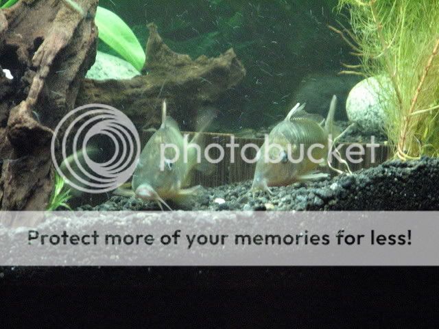 IMG_3153.jpg