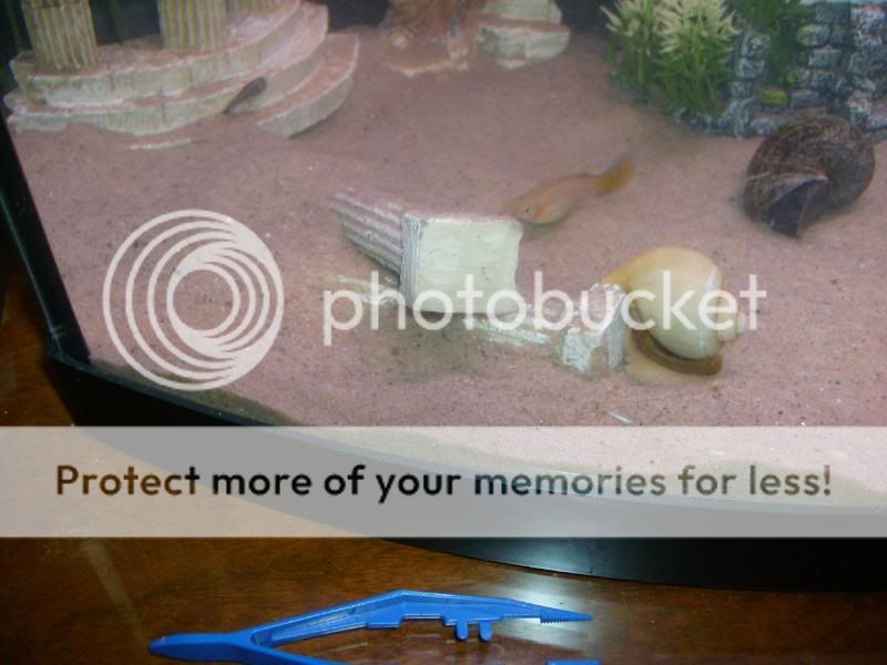 sortedphotos0800046-2.jpg
