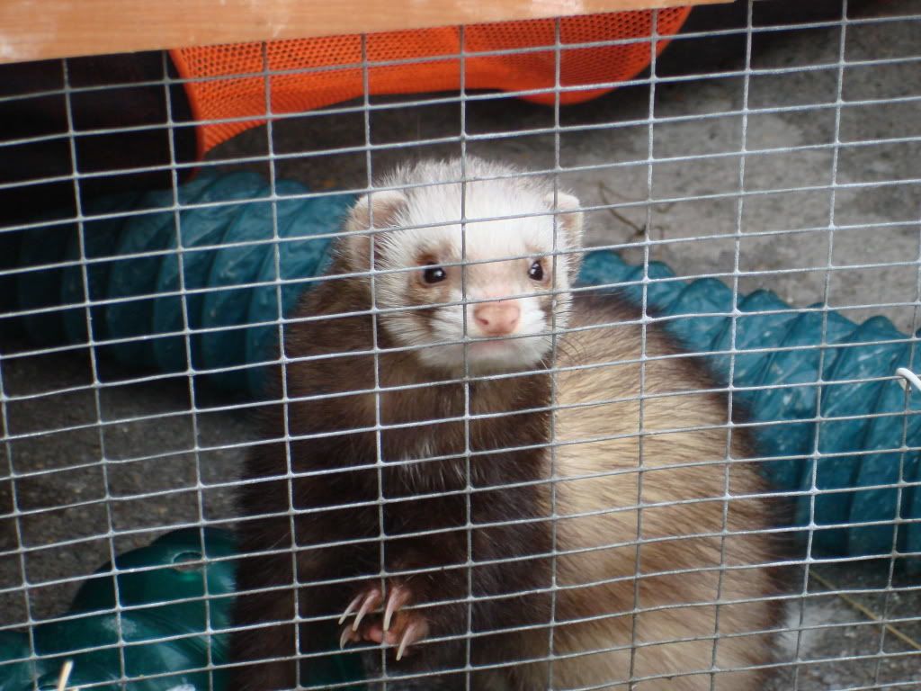 DSC00134-1.jpg