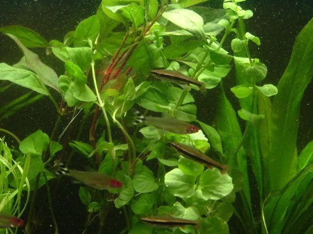 DSCF1497.jpg