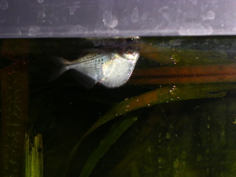 DSCN3291.jpg