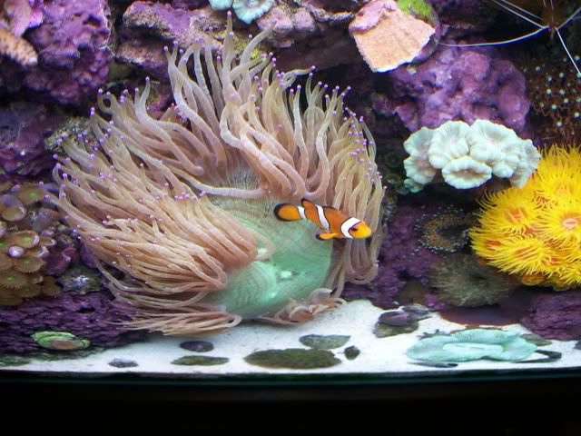 100_1117.jpg