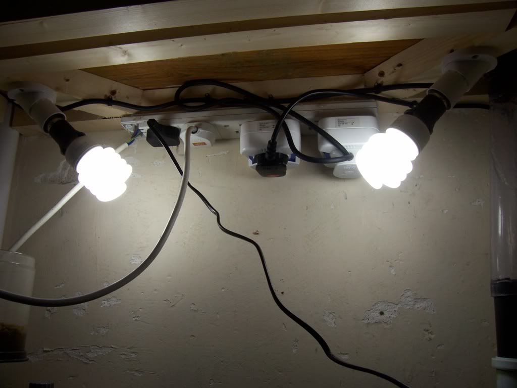 SUMP015.jpg
