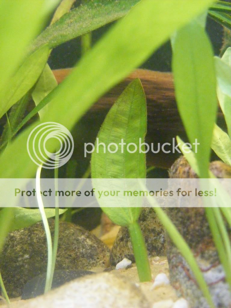 DSCF5888.jpg