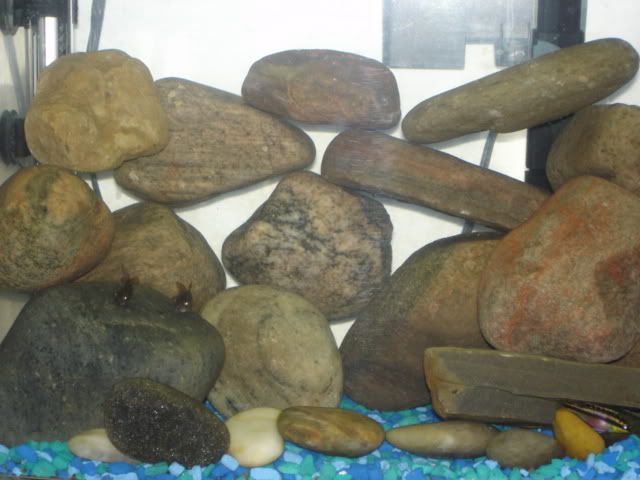 DSC02553.jpg