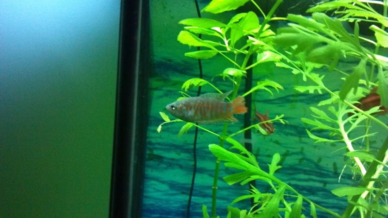 2012-09-28_22-08-05_858.jpg
