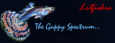 Guppy.gif