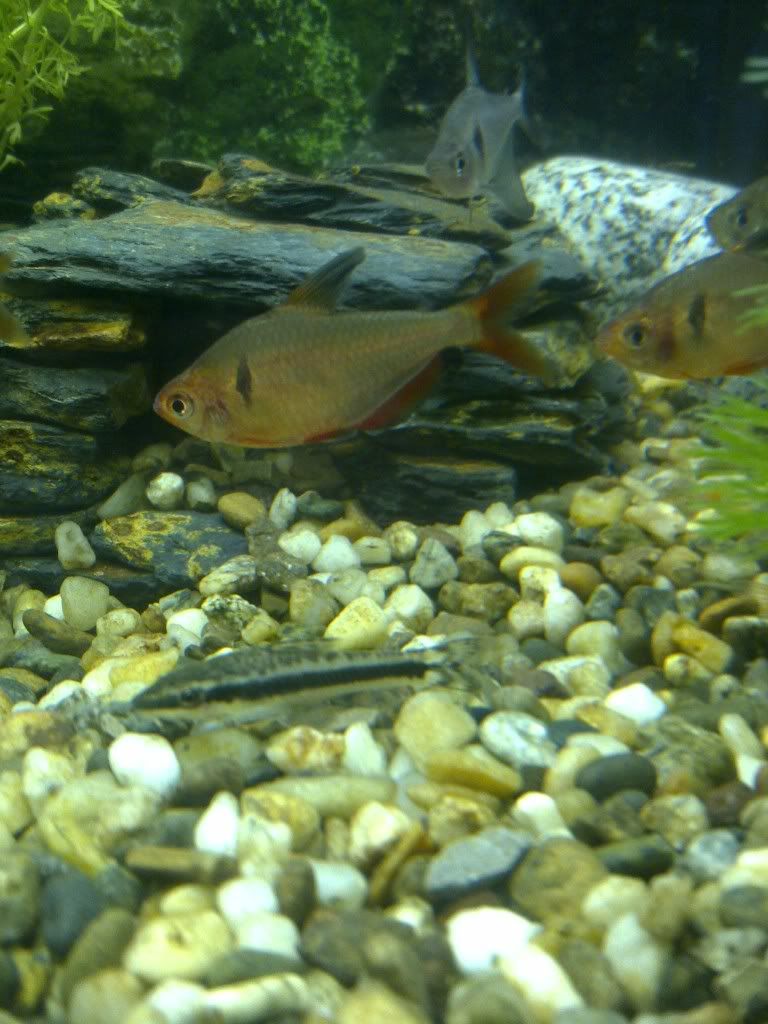 IMG-20120309-00494.jpg