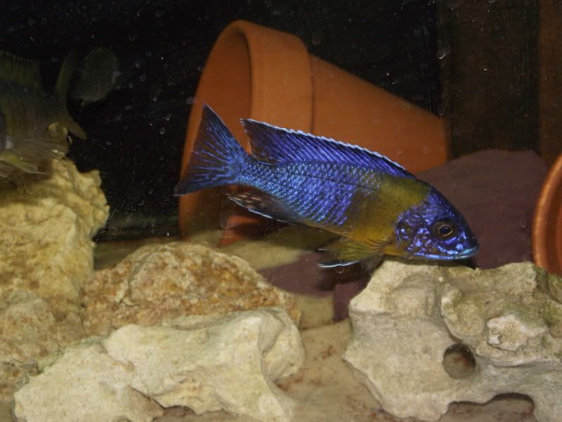 DSCF6290.jpg