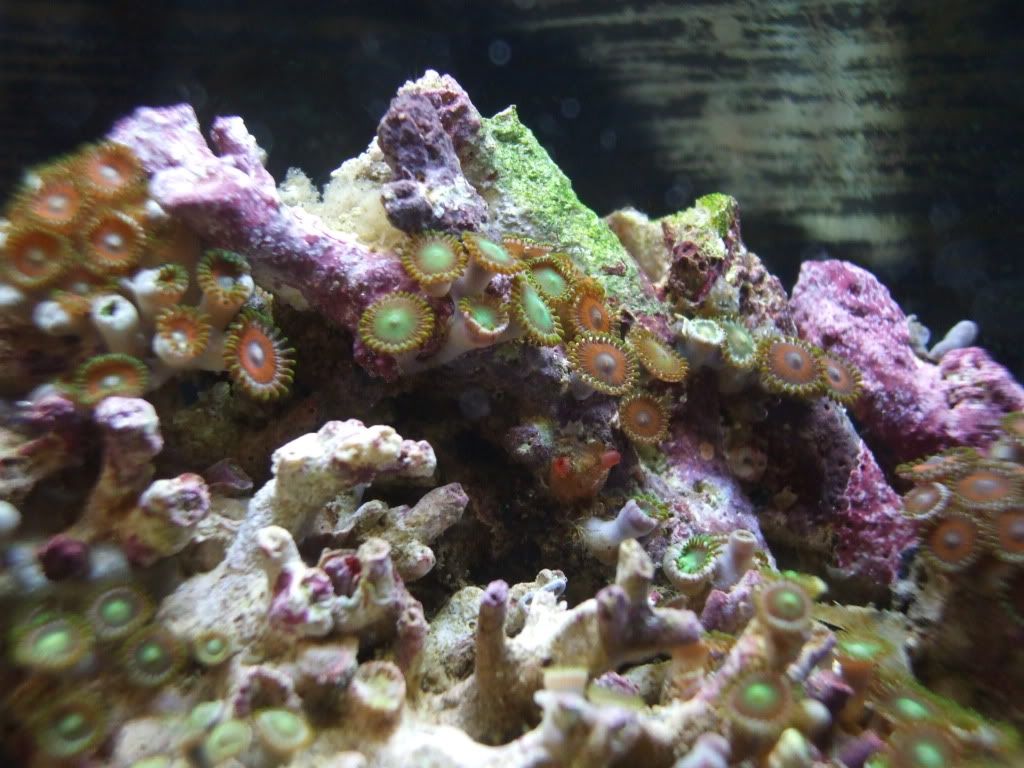 DSCF9082.jpg