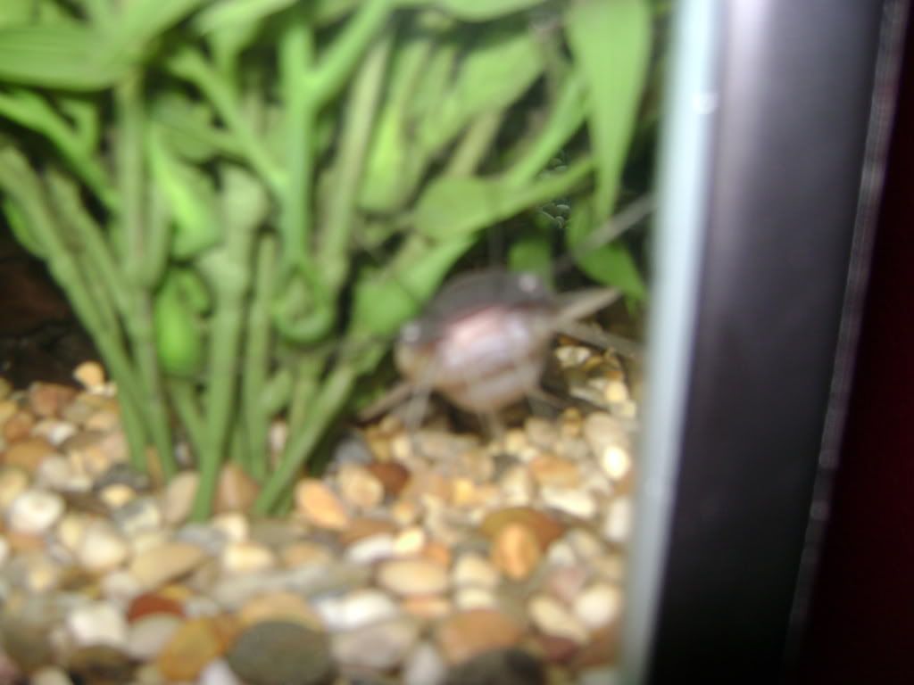 DSC00102.jpg
