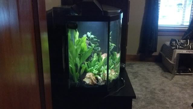 2012-07-31_18-49-23_833.jpg