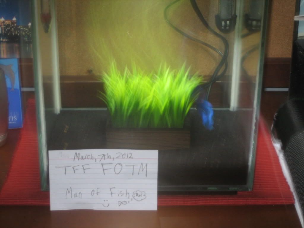 fish021.jpg