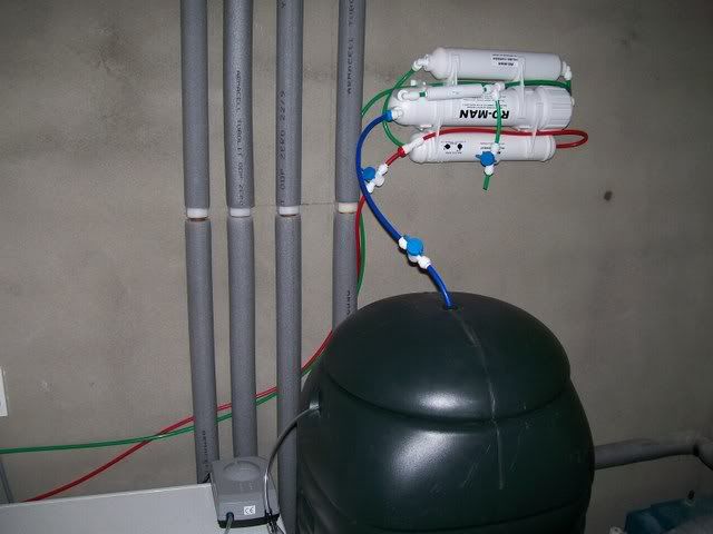 Picture002.jpg