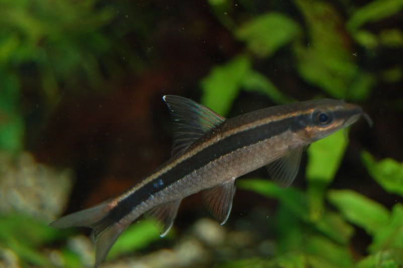 DSC_1171.jpg