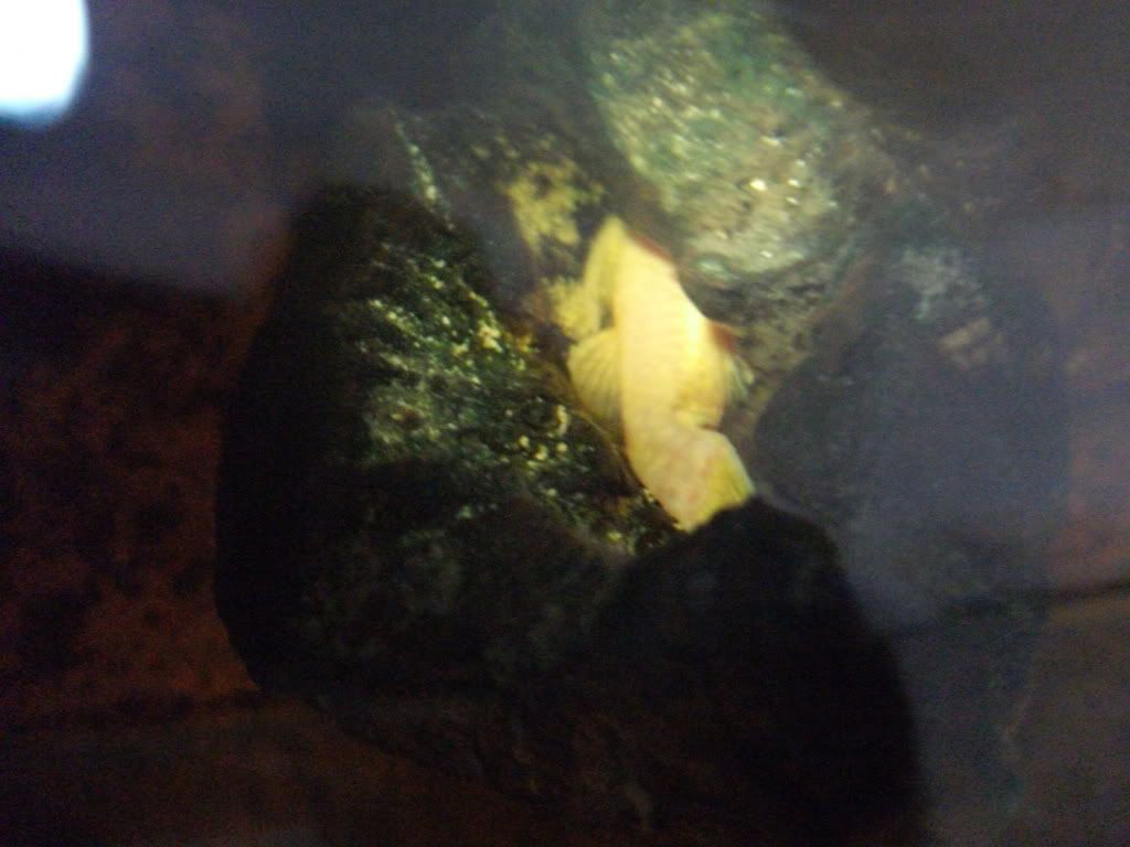 DSCF0504.jpg