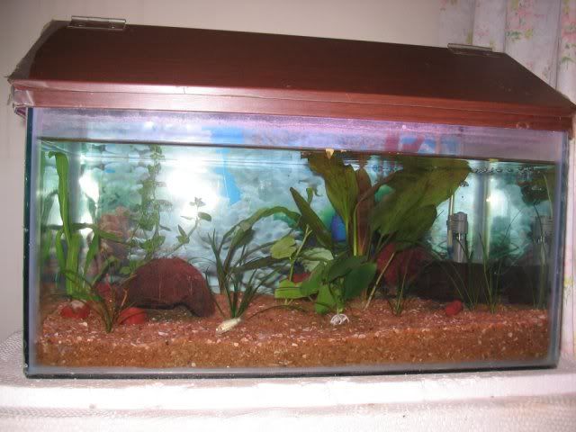 nov_19_2k5_0002.jpg