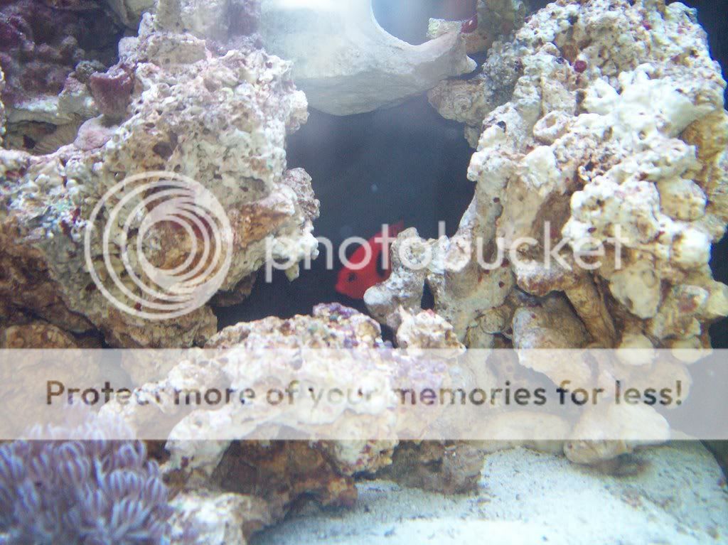 aquarium002.jpg
