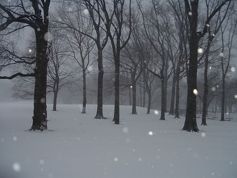 Winter1.jpg