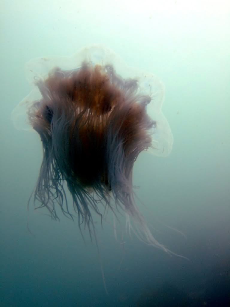 DSCF5671.jpg
