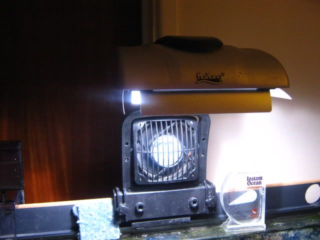 001-40.jpg