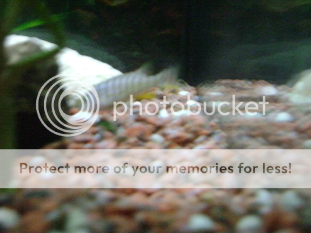 DSC01351.jpg