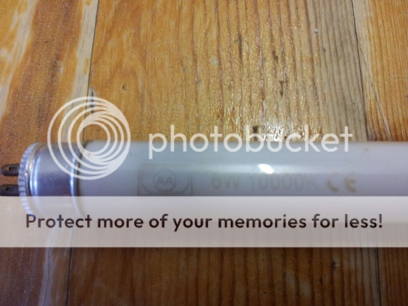 2012-05-04132649.jpg