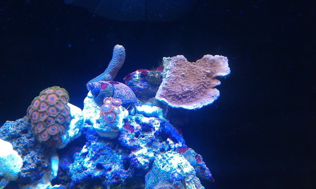 IMAG0290.jpg
