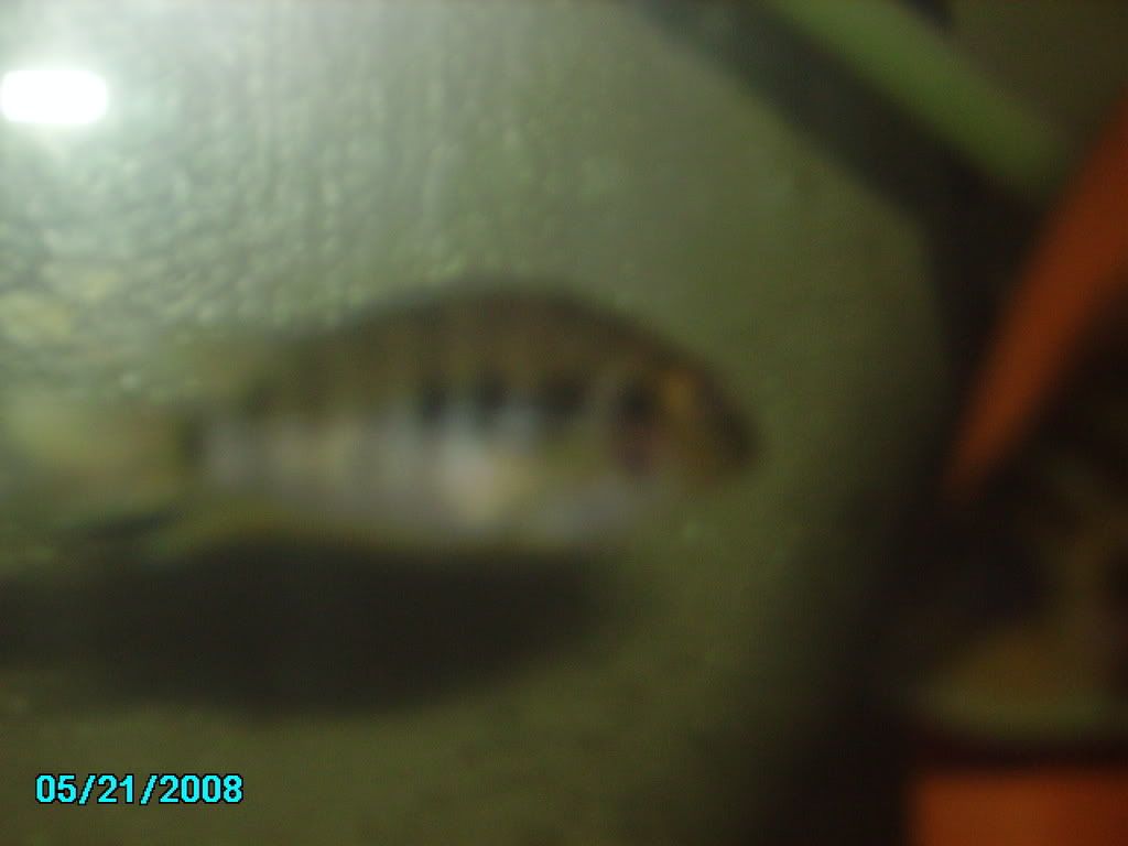 PICT0003.jpg