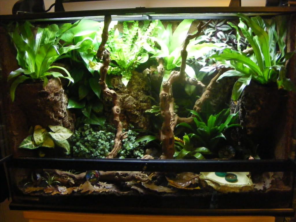 DSCF1135.jpg