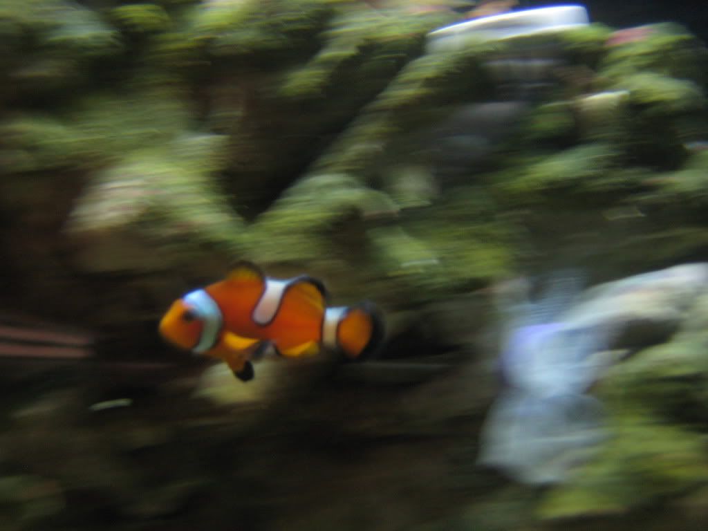 IMG_1037.jpg