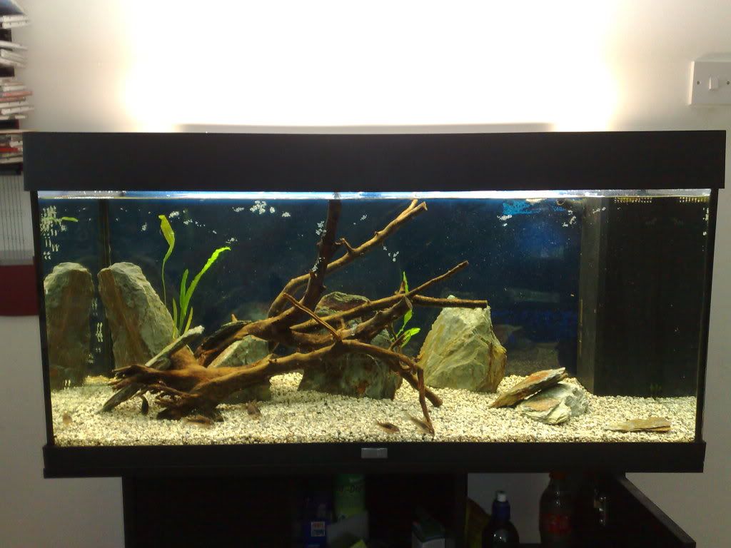 18082010036.jpg