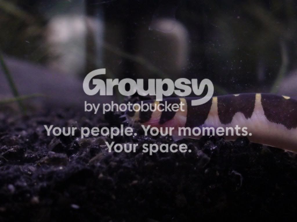 DSC01369.jpg