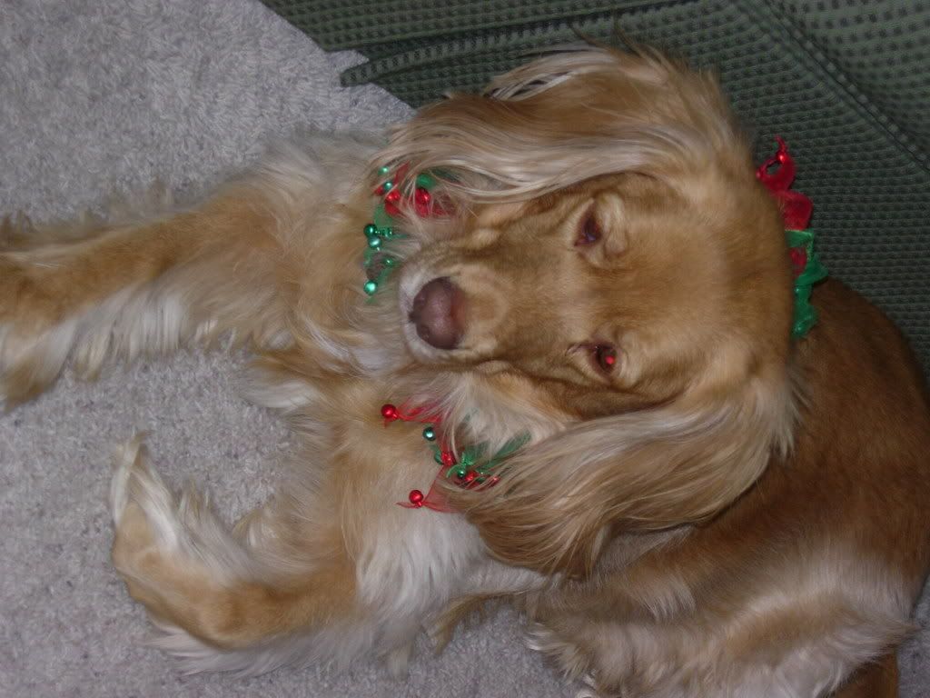 DSCN2481.jpg