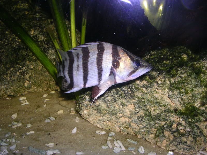 DSCN3789.jpg